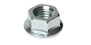 Nuts Flange